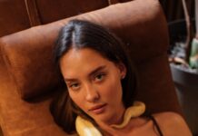 How To Remove Pet Hair From Furniture And Carpets Easily