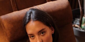 How To Remove Pet Hair From Furniture And Carpets Easily