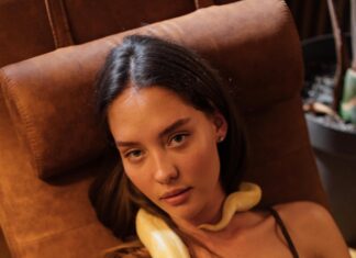 How To Remove Pet Hair From Furniture And Carpets Easily