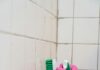 How to Clean Mold and Mildew From Tiles and Grout: Expert Tips